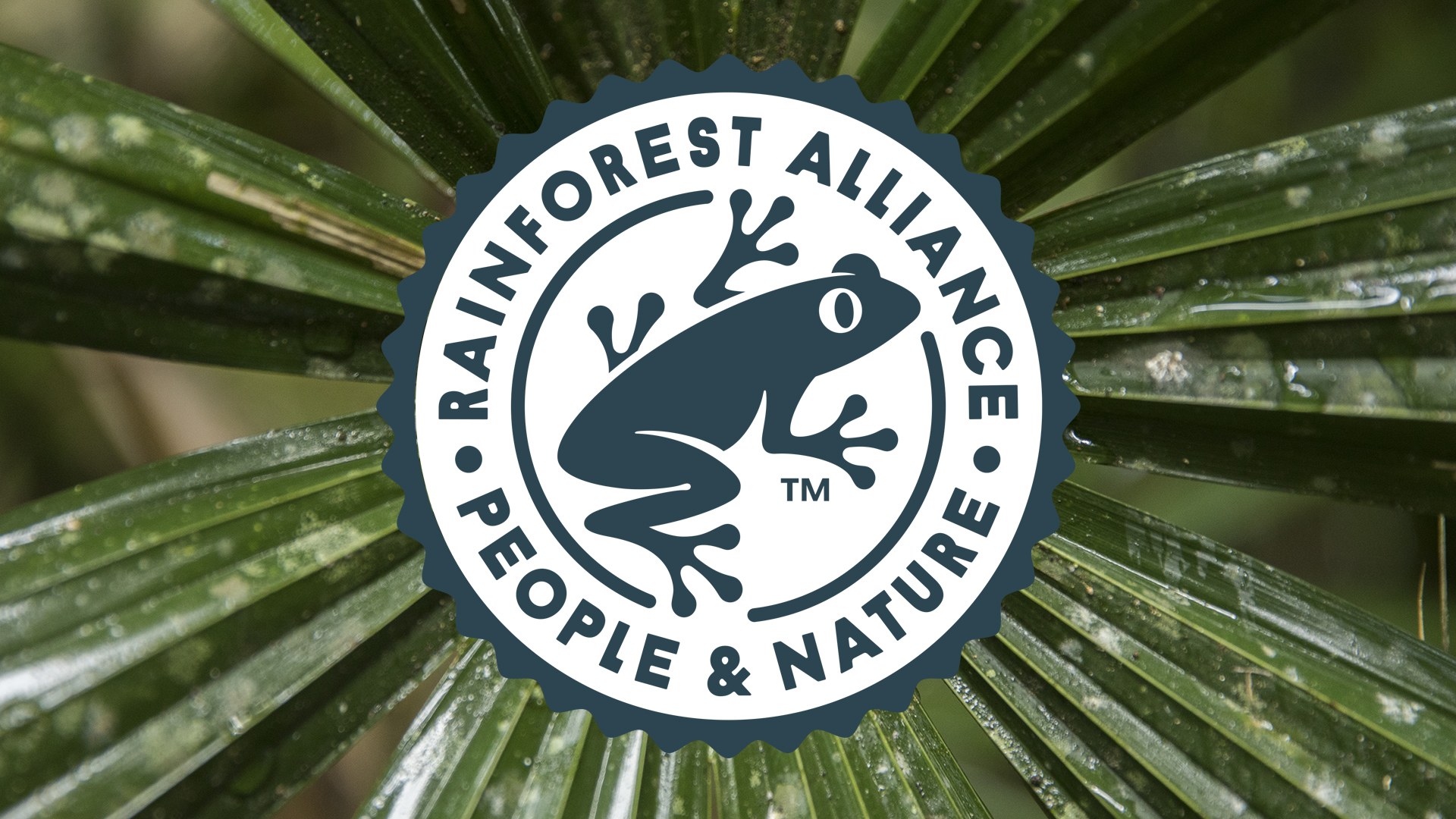 Rainforest Alliance